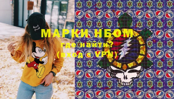прущий лед Абаза